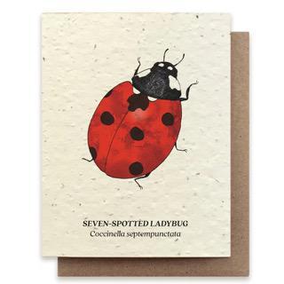 Birthday Moon Phase Plantable Herb Card Copy