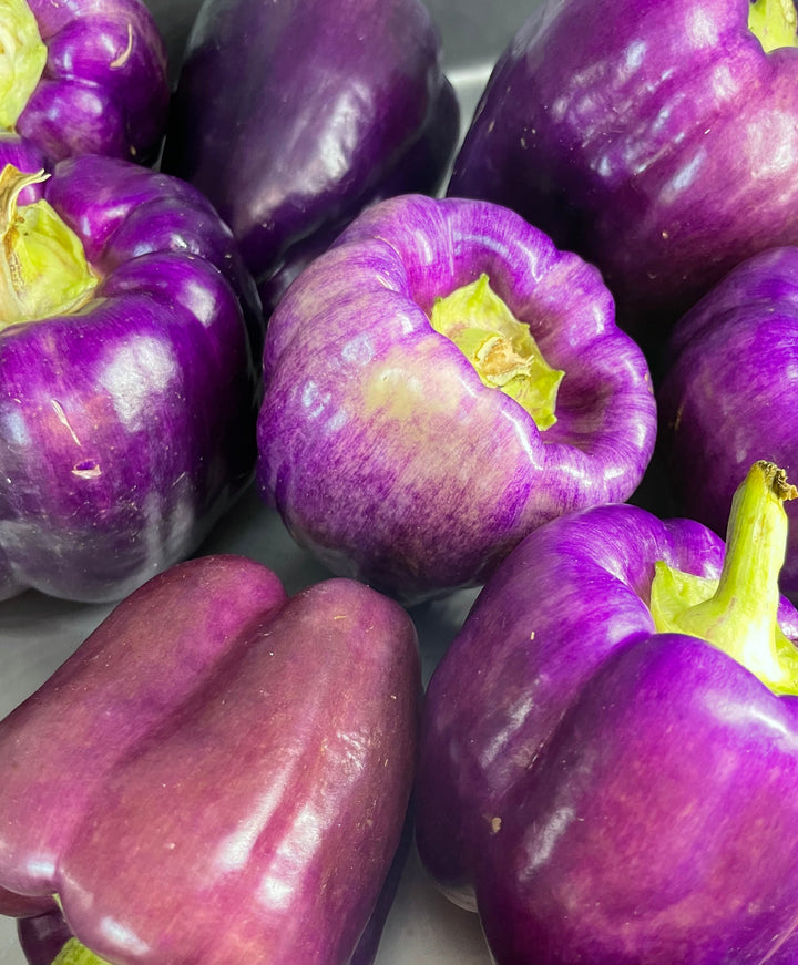 Purple Bell Peppers, Organic