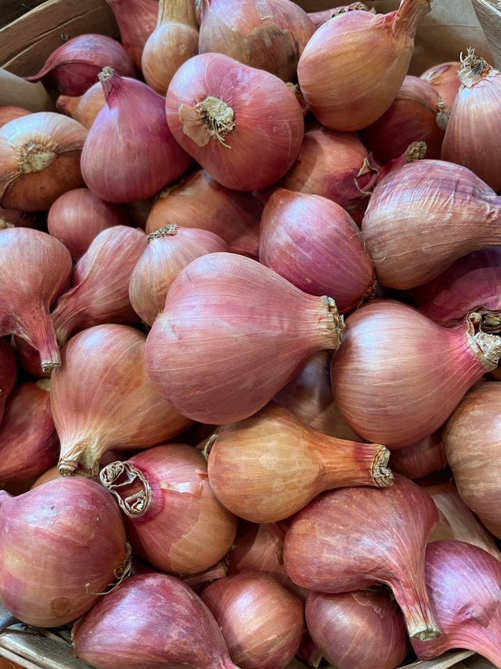 Shallots, Organic 0.25lb