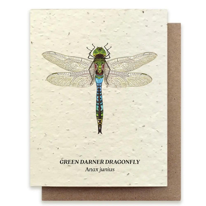 Green Darner Dragonfly Plantable Wildflower Seed Card