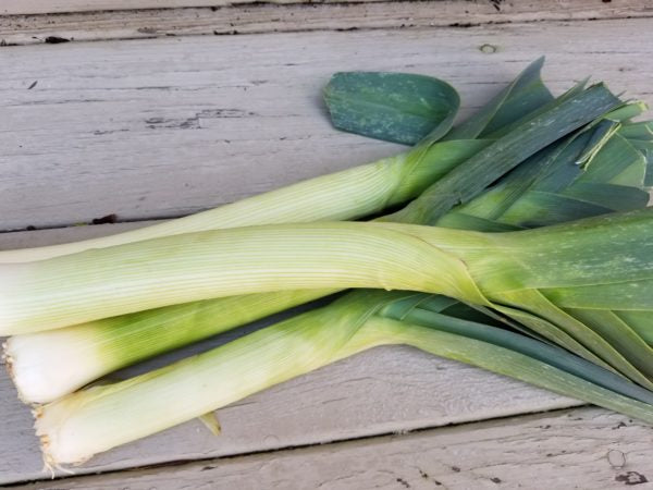 Leeks, Organic bunched