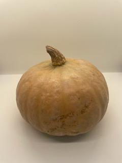 Squash, Kabocha "Winter Sweet", Organic Pc