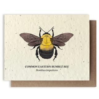 Bumble Bee Plantable Wildflower Seed Card