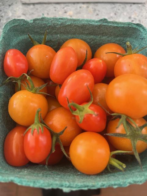 Tomatoes, Cherry Mix, Organic - Pint