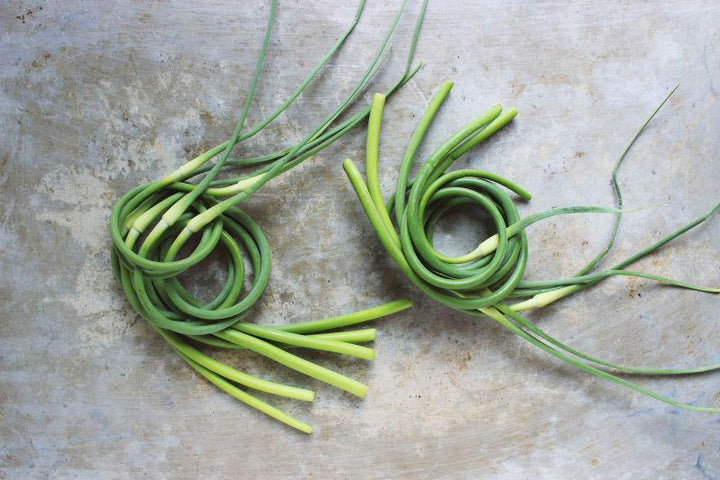 Scapes, Garlic Organic