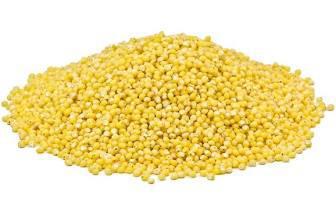 Millet Seeds 1 lb