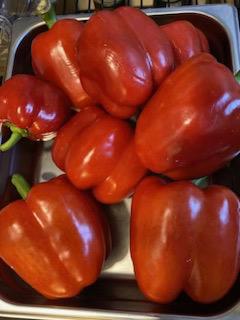 Peppers, Red Bell, Organic Pc