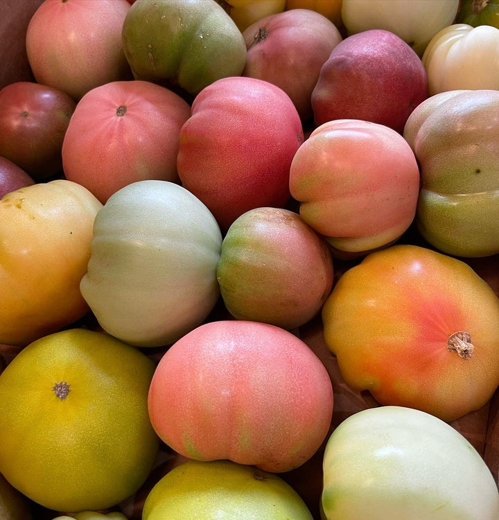 Mixed Heirloom Tomatoes pc