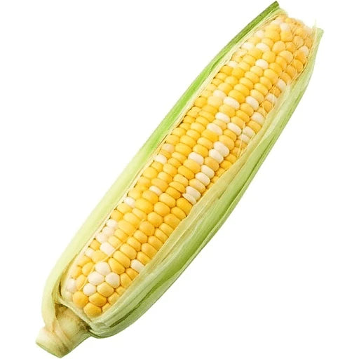 Sweet Corn, Organic