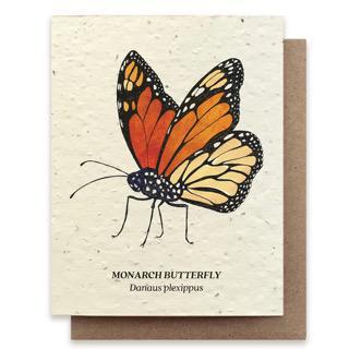 Monarch Butterfly Plantable Wildflower Seed Card