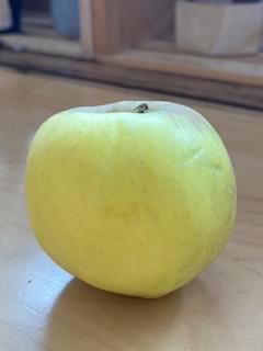 Apples, Ginger Gold IPM 1 pc