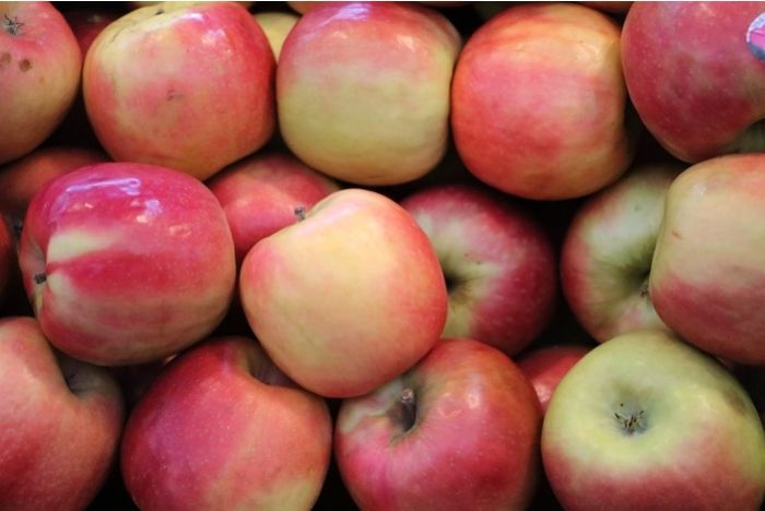 Apples, Pink Lady IPM