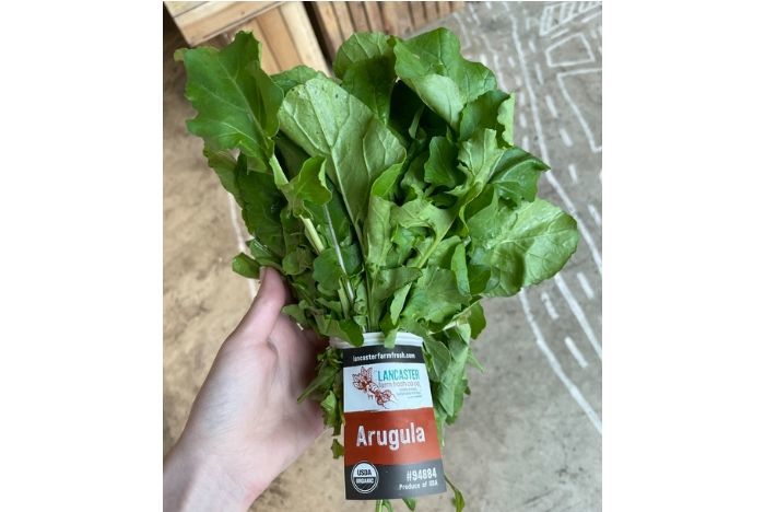 Arugula, Organic