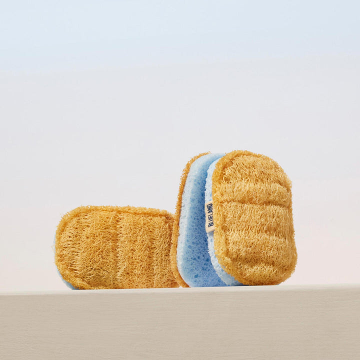 Scrub Sponge 3-pack