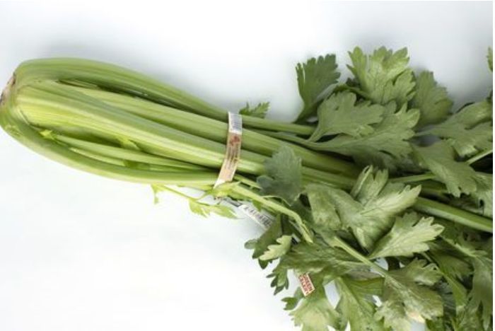 Celery, Organic