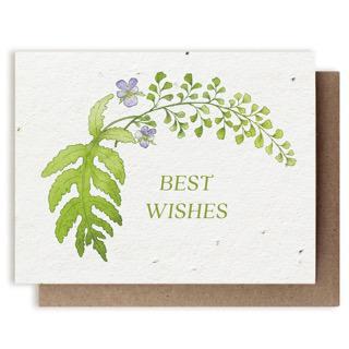 Botanical Best Wishes Plantable Herb Seed Card