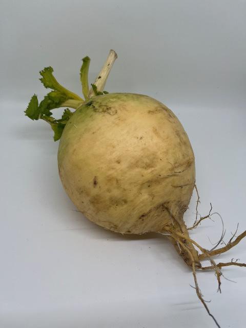 Turnips, Gold, Organic 1lb