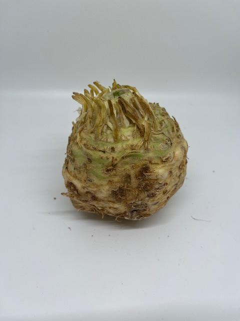 Celeriac Root, Organic Pc