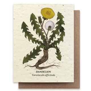 Dandelion Plantable Wildflower Seed Card