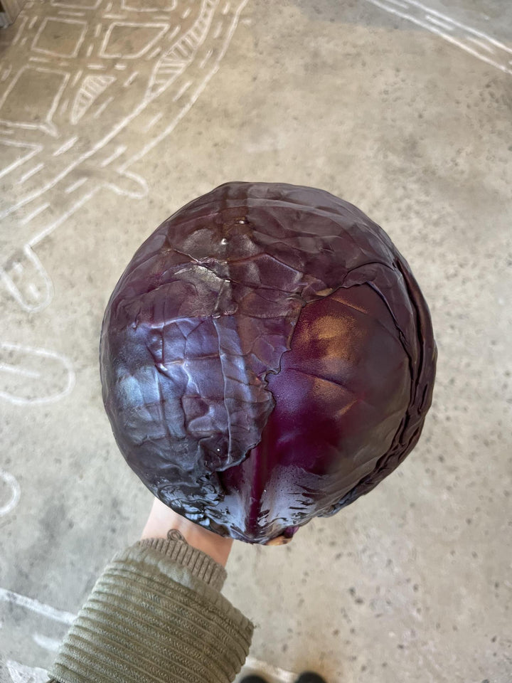 Red Cabbage, Organic