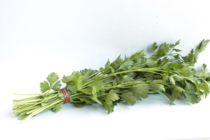 Italian Parsley, Organic