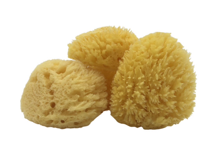 All-Natural Dead Sea Sponge